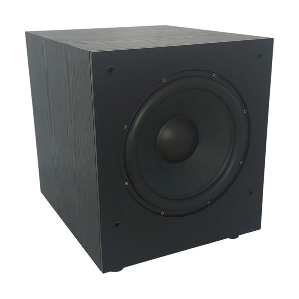 Subwoofer HIF Amplificado 10"-100 Watios RMS IRDP-SUB100 PRO - Imagen 3