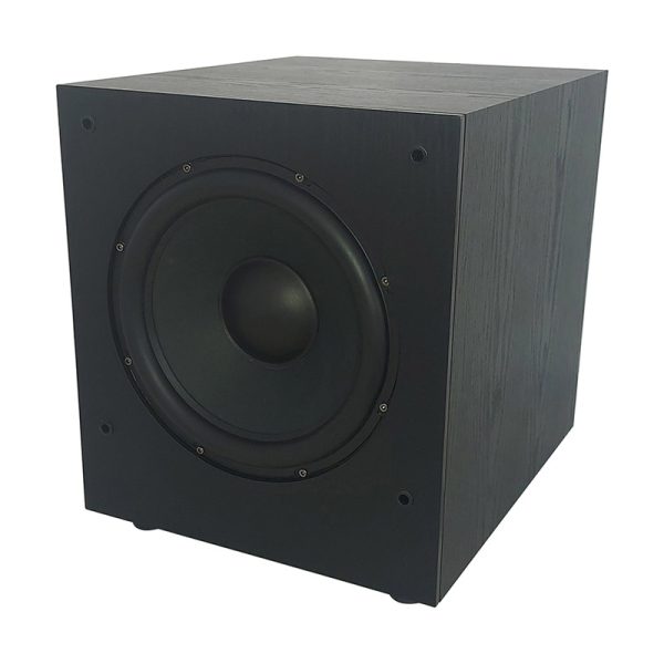 Subwoofer HIF Amplificado 10"-100 Watios RMS IRDP-SUB100 PRO - Imagen 4