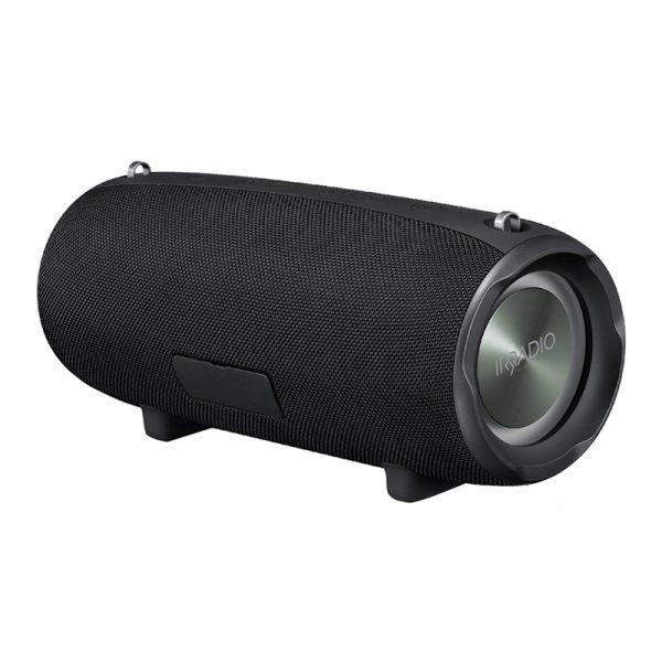 Altavoz HIFI Boombox 40 W RMS con doble Subwoofer - 6 horas de autonomía IR-G600 - Imagen 2