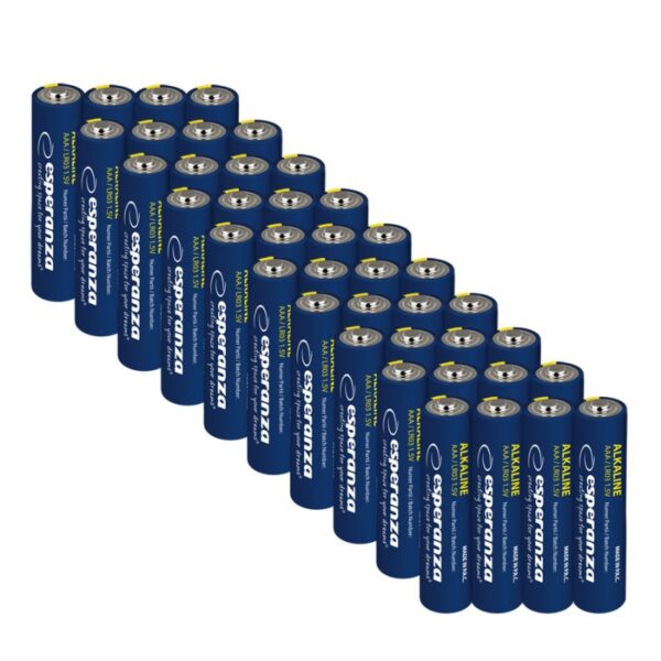 Pack retractilado de Pilas Alkalinas AAA - EZB117 - Imagen 2